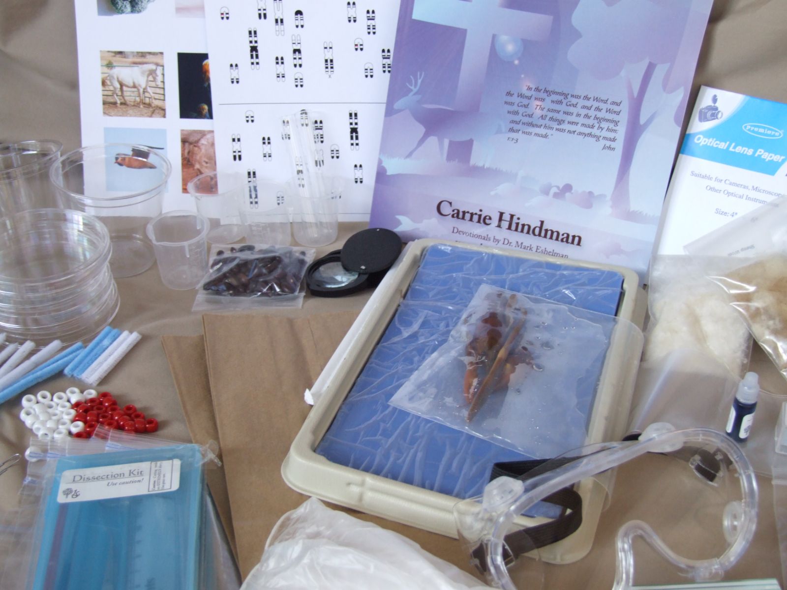 Karyotype charts, chicken wing dissection tray and lab equipment